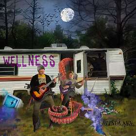 Blind Lake Wellness CD