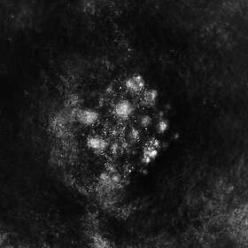 Saffronkeira Synecdoche CD