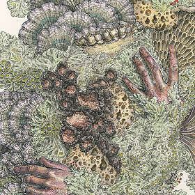 Pyrithe Monuments To Impermanence CD