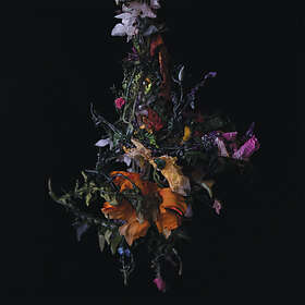 Big Brave Nature Morte CD