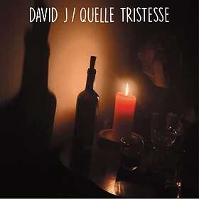 David J Quelle Tristesse LP