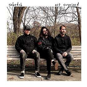 Sebadoh Act Surprised CD