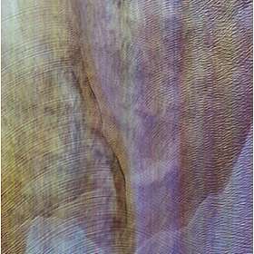 Akron/Family Sub Verses CD