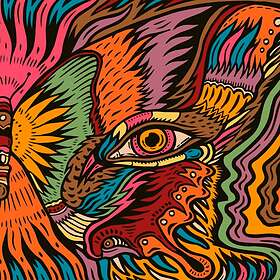 The Tronosonic Experience Shadow Vol. 2 CD