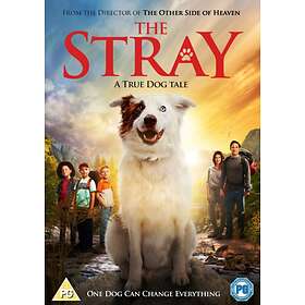 The Stray DVD