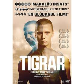 Tigrar (DVD)