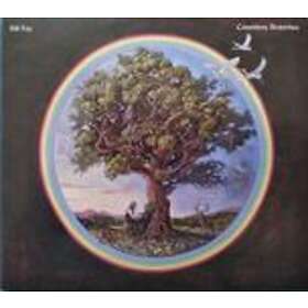 Bill Fay Countless Branches CD