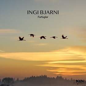 Ingi Bjarni Farfuglar CD