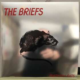 The Briefs Rats CD