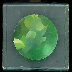 Circulatory System Mosaics Within CD