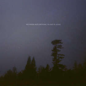 We Were Skeletons Blame & Aging CD