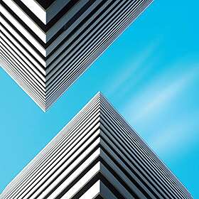 Snow Palms Land Waves CD