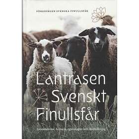 Lantrasen Svenskt Finullsfår