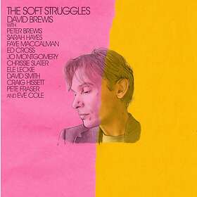 David Brewis The Soft Struggles CD