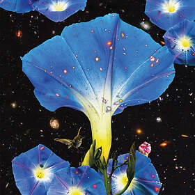 Sarah Louise Nighttime Birds And Stars CD