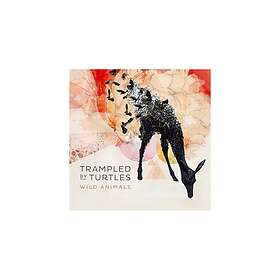 Trampled By Turtles Wild Animals CD