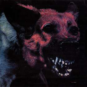 Protomartyr Under Color Of Right CD