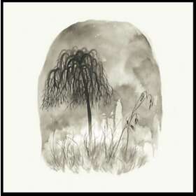 Woodpigeon T R O U B L E CD