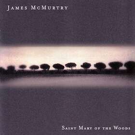 James McMurtry Saint Mary Of The Woods CD