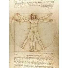 Vitruvian Man Notebook