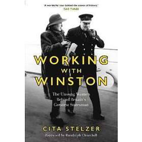 Working with Winston