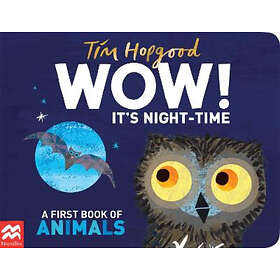 WOW! It's Night-time