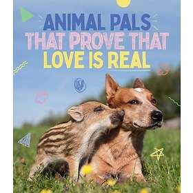 Animal Pals That Prove That Love Is Real