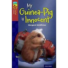 Oxford Reading Tree TreeTops Fiction: Level 15 More Pack A: My Guinea-Pig Is Inn