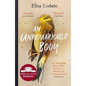 An Unremarkable Body