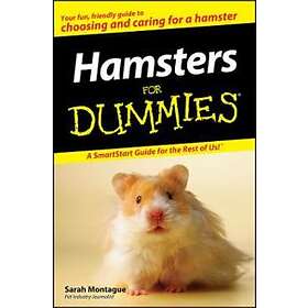 Hamsters For Dummies