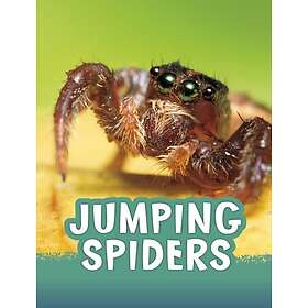Jumping Spiders