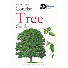 Concise Tree Guide