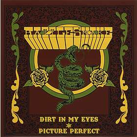 Rattlesnake Dirt In My Eyes / Picture Perfect LP