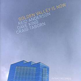 Reid Anderson Golden Valley Is Now CD