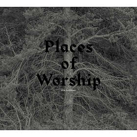 Arve Places Of Worship LP
