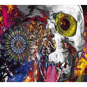 I Like A Bombed Cathedral CD