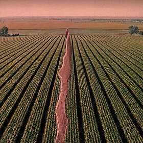 Possible Humans Everybody Split CD