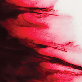 Rigaud Transformation CD