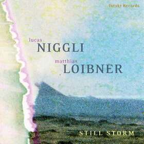 Lucas Niggli & Matthias Loibner Still Storm CD