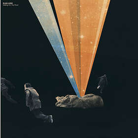 Jung Waiting For The Flood LP