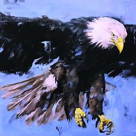 Aquarius Soulquencies LP