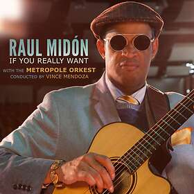 Raul Midon If You Really Want CD