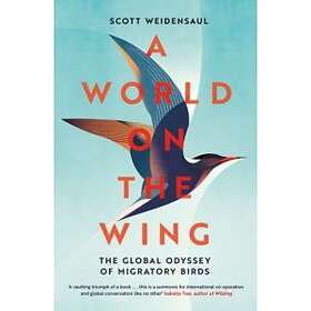 A World on the Wing