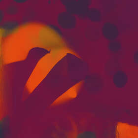 Perfect Body / Zac White Split EP LP