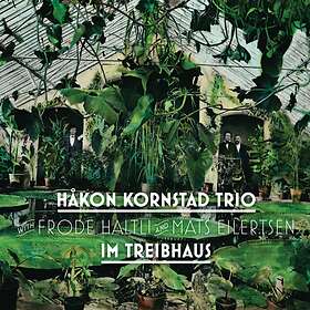 Håkon Kornstad Trio Im Treibhaus LP