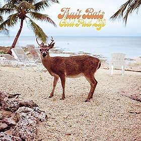 Fruit Bats Gold Past Life LP