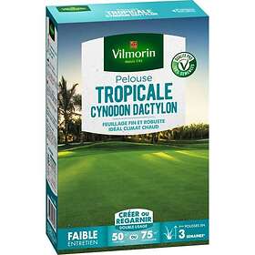 Vilmorin Graines de gazon Pelouse Tropicale Cynodon Dactylon 500g 50-75m²