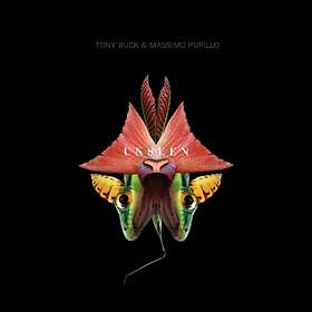 Tony Buck & Massimo Pupillo Unseen CD