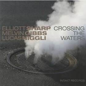 Elliott / Melvin Gibbs Lucas Niggli Crossing The Waters CD