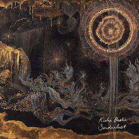 Kishi Bashi Sonderlust LP